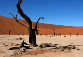 bestofnamibia2