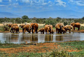 krugerswazilandlesotho2