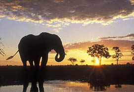 wildlifedelta2